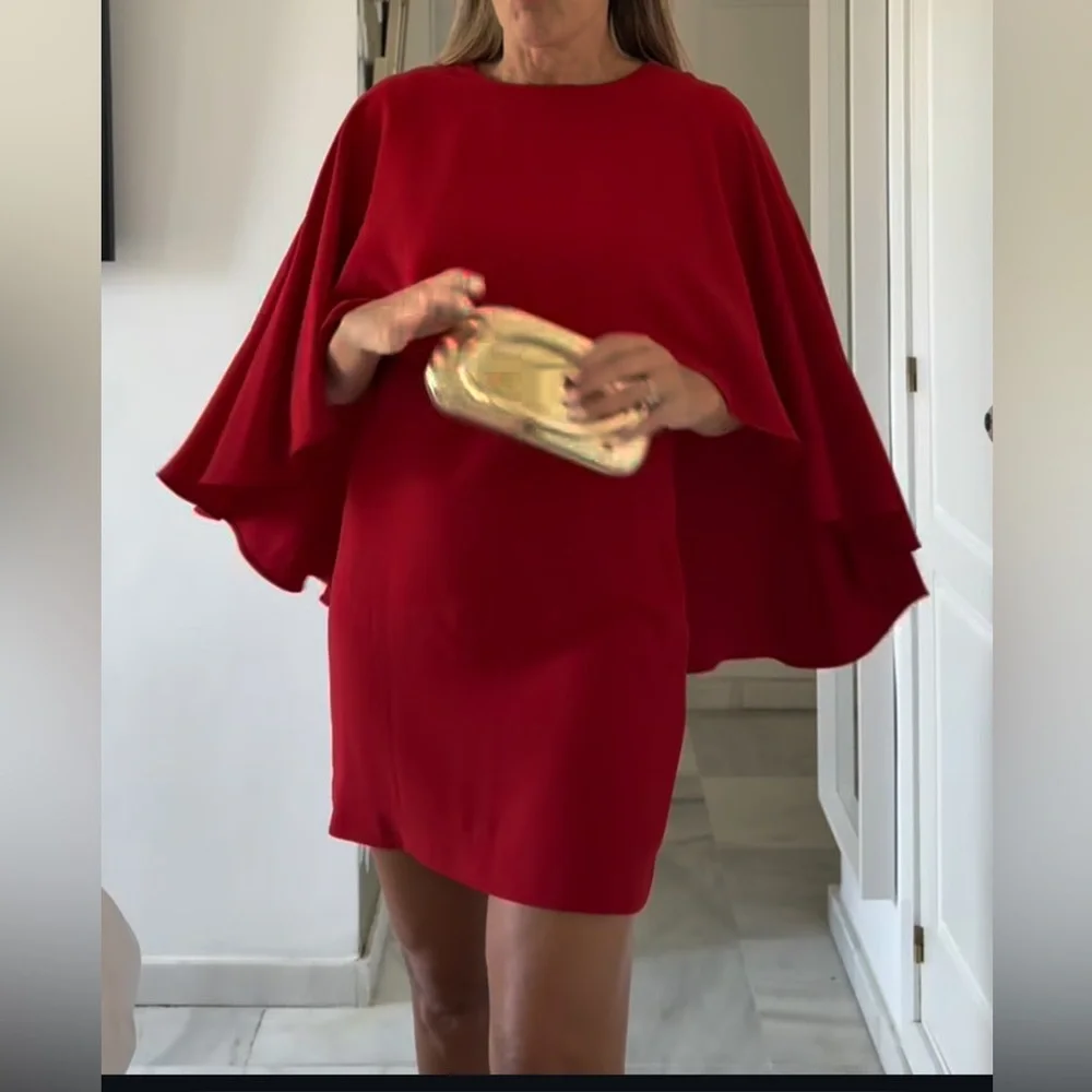 Zara Red Mini Dress - Picture 2 of 16